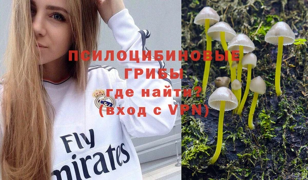 спиды Алексеевка